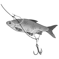 Black Cat Baitclips Gr. L