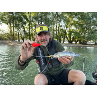 Black Cat Baitfish Tree Rig 6/0 L: 2,00m / Ø: 1,20mm