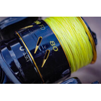 Black Cat Black Passion FD 80 Waller Rolle
