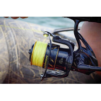 Black Cat Black Passion FD 50 Waller Rolle