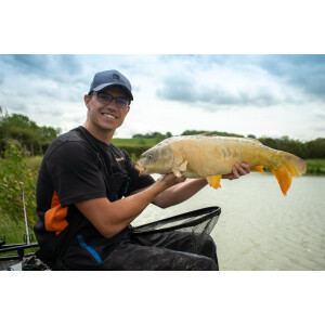 Sonubaits SuperCrush | Krill & Squid