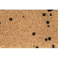 FTM Räuchermehl Buche mit Wacholder 500g