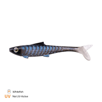 ZECK Rippler 20cm Whitefish  | 2 Stk.