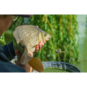 Matrix Interchangeable Pellet Feeders