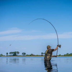 Avid Revolve 3,6m 12ft 3.5lbs Karpfenrute