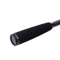 Zeck Momentum Cast 235cm | 100g