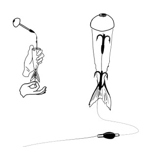 Zeck Pop Up Half-Ball | 2 Stk.