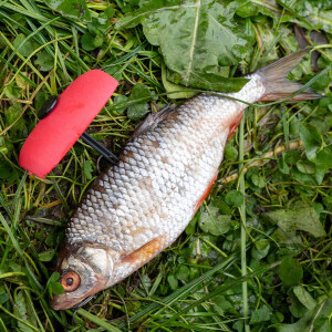 Zeck Rucksack Float Mix | 2 Stk.