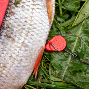 Zeck Rucksack Float Mix | 2 Stk.