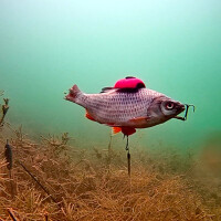 Zeck Rucksack Float Mix | 2 Stk.