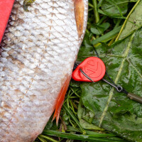 Zeck Rucksack Float Mix | 2 Stk.