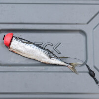 Zeck Twin Treble #2 Rig