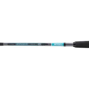 Mitchell Suprema SW 213 - 50-100g Squid 2,1m