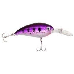 Crankbait Wobbler Purple Fish