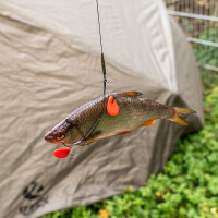 Zeck Single Hook & Treble Rig