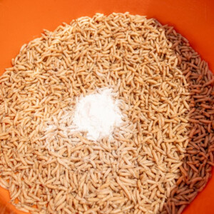 Sonubaits Maggot Glue 300g - Madenkleber