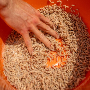 Sonubaits Maggot Glue 300g - Madenkleber