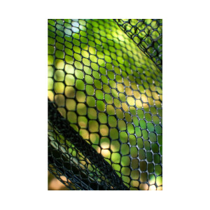 Zebco Latex Fast Net Tele Kescher 2,00m 50x40cm