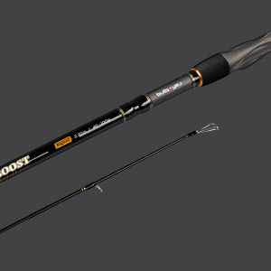 Lieblingsköder Ultraboost Bigbait 2,70m 40-100g Bullseye Blank