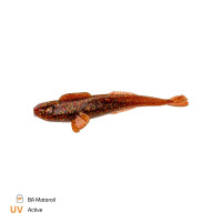 Zeck Finesse Goby 8,5cm BA Motoroil | 5 Stk.