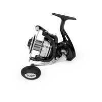 Black Cat Shadow Cat 6500