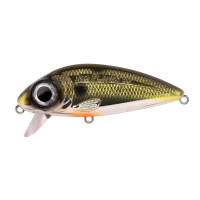 Spro Iris Flanky Hardlure Shad 9cm 22g