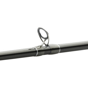 Westin W2 Powercast-T | 2,48m XH 20-80g