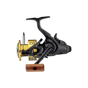 DAIWA 20 GS BR LT 4000-C