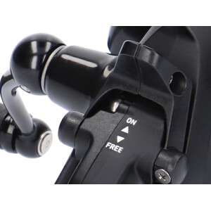 DAIWA 19 Black Widow BR LT 5000-C