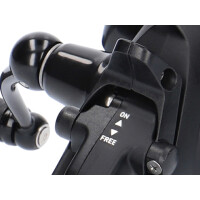 DAIWA 19 Black Widow BR LT 5000-C