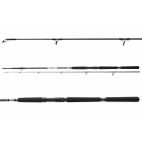 Daiwa BG Offshore Pilk 3,00m 50-165g gallery