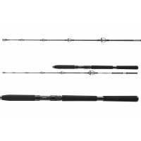 Daiwa BG Sea Jigger 1,70m 150-400g gallery