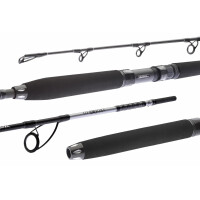 Daiwa BG Sea Jigger 1,70m 150-400g