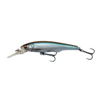 Savage Gear GRAVITY TWITCH MR | 6,7cm - 7g SP | Roach
