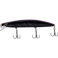 Black Belly