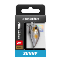 Sunny