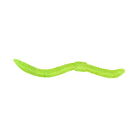 Citrus Dico