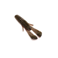 Live Craw
