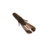 Live Craw