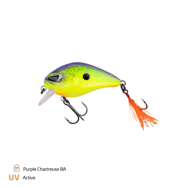 Purple Chartreuse