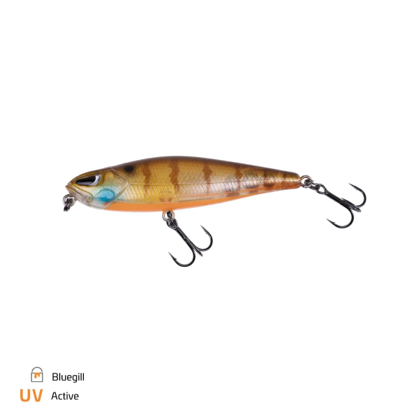 Bluegill