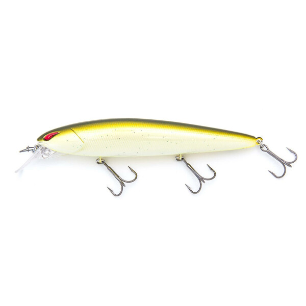 Rootbeer Shad (324)