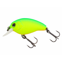 Limetreuse / Orange Belly (342)