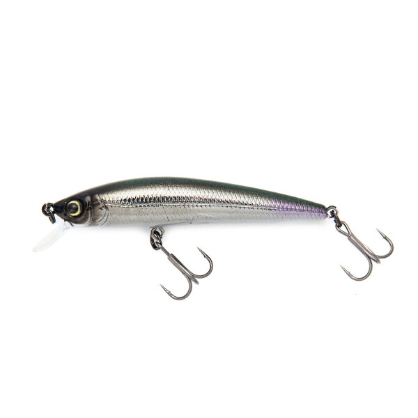 Silver Shad (326)