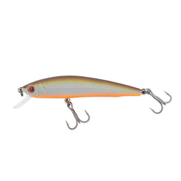 Brown Back/Orange Belly (339)