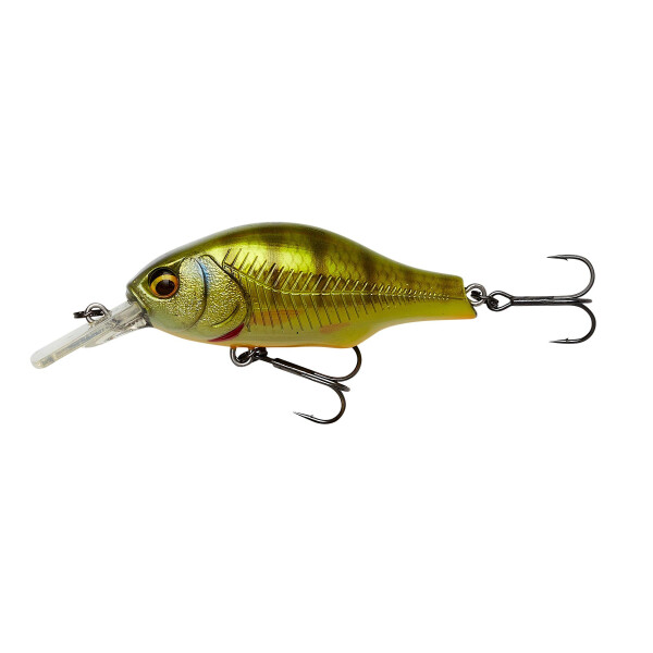 Perch