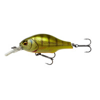 Perch