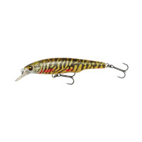 Pike