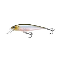 Ghost Minnow