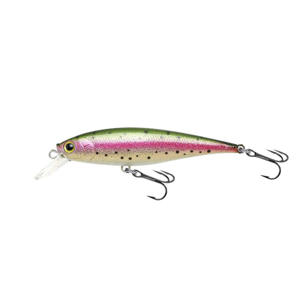 Laser Rainbow Trout